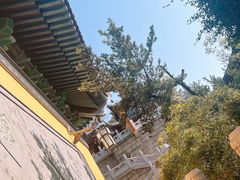 -金山公园