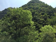 -宁波五龙潭景区