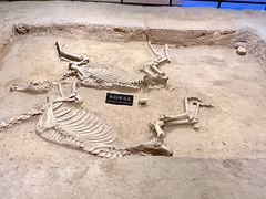 -洛阳周王城天子驾六博物馆