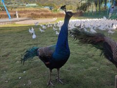 -瓷天下海丝谷
