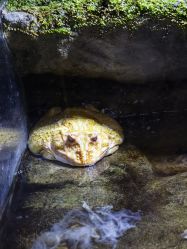 -酷嗒动物文化乐园(cutezoo西溪乐天城店)