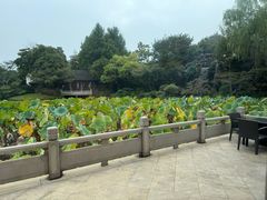 -杭州西子湖四季酒店·金沙厅