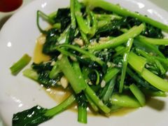 -煲来饱去冷水鱼