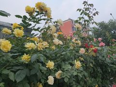 -张记焖窑·十五年专注焖烤(雍和宫店)