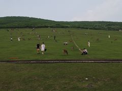 -奈良公园