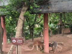 -重庆动物园·东二门售票处