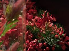 -新加坡乌节希尔顿酒店 (SG Clean)