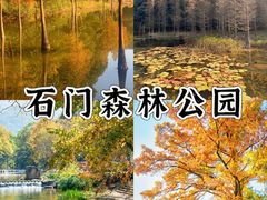 -广州市石门国家森林公园