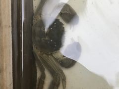 -喜洋洋蟹庄(阳澄湖店)