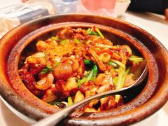 啫啫牛蛙煲-粤来记·啫啫煲·点心(日月光店)