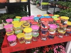 -大润发(东关世茂店)