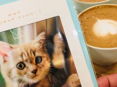 -猫的天空之城概念书店(印象城购物中心店)