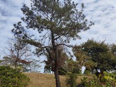 -中国移动南方基地