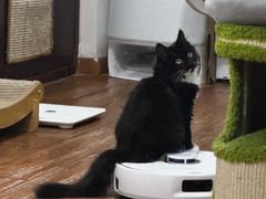 -纳吉亚猫专科动物医院·北北分院