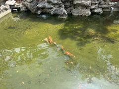 -皇罗禅寺