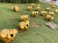 -清迈夜间动物园