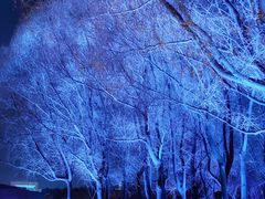 -长春世界雕塑园冰雪艺术天地