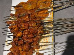 -甘兰老金家辣子烤肉