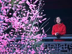 -望江楼公园