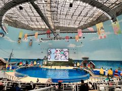 -海合安天津极地海洋公园
