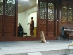 android_upload_pic-法雨寺餐厅
