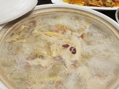 五指毛桃药膳鸽-鸽鸟轩(石岐店)