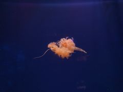 -杭州海底世界