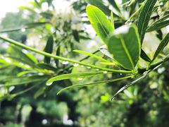 -水濂山森林公园