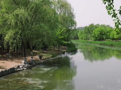 -大兴滨河森林公园