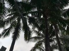 -三亚亚龙湾红树林度假酒店