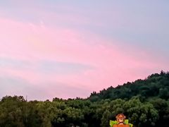-无锡动物园·太湖欢乐园