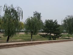 -永定河休闲森林公园