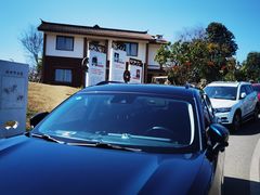 -陈胖子鱼庄(黄辣丁新津店)