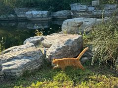 -北京西山国家森林公园