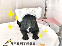 -Double Rui宠物酒店