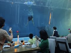 -涛·海底餐厅·美人鱼·自助餐·海底隧道(三亚海棠湾洲际度假酒店)