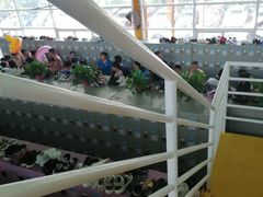 -阿酋湾水上乐园