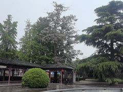 -镇淮楼