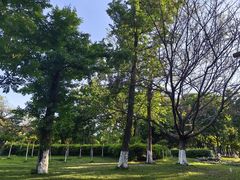 -沙河三洞古桥公园