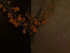 -手佳·水疗汇(嘉益店)