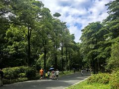 -海珠湖公园