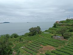 -崂山仰口游览区