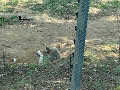 -秦皇岛野生动物园