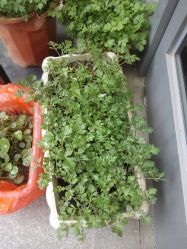 -爱灸堂·古法艾灸