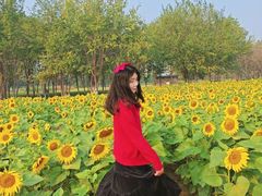 -西北大学(桃园校区)