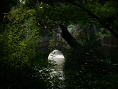-上海醉白池公园
