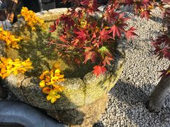 -鯛匠 HANANA