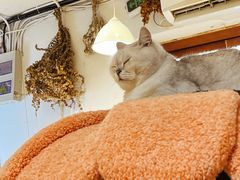 -小时光咖啡馆(北锣鼓巷店)