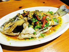 黑鲷-阿军排档·烧烤