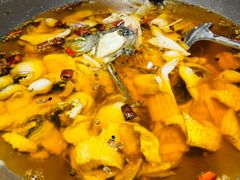 -雲蜀龙阁·金牌水煮鱼(方庄店)